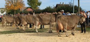 LUOB13 028